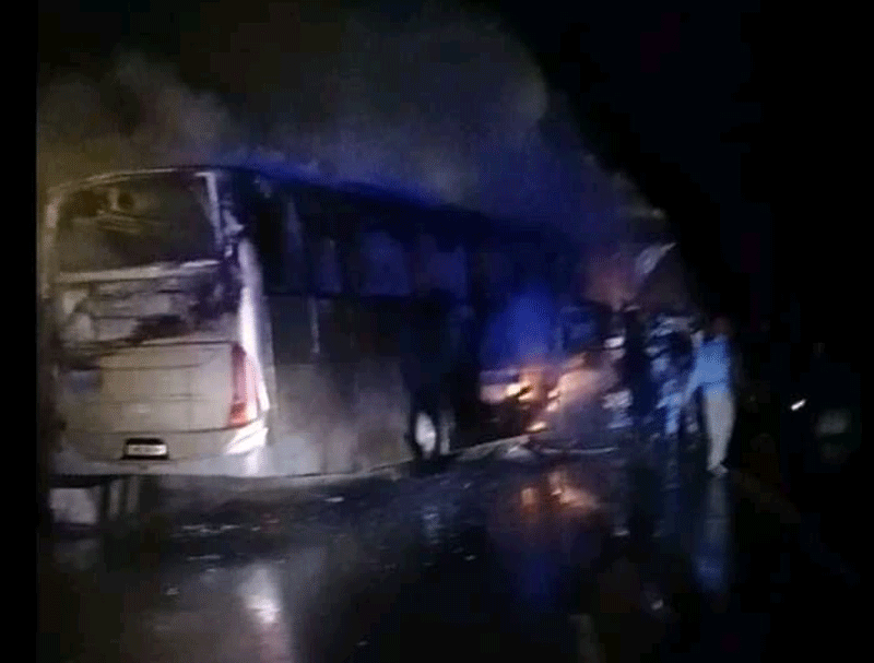 bus