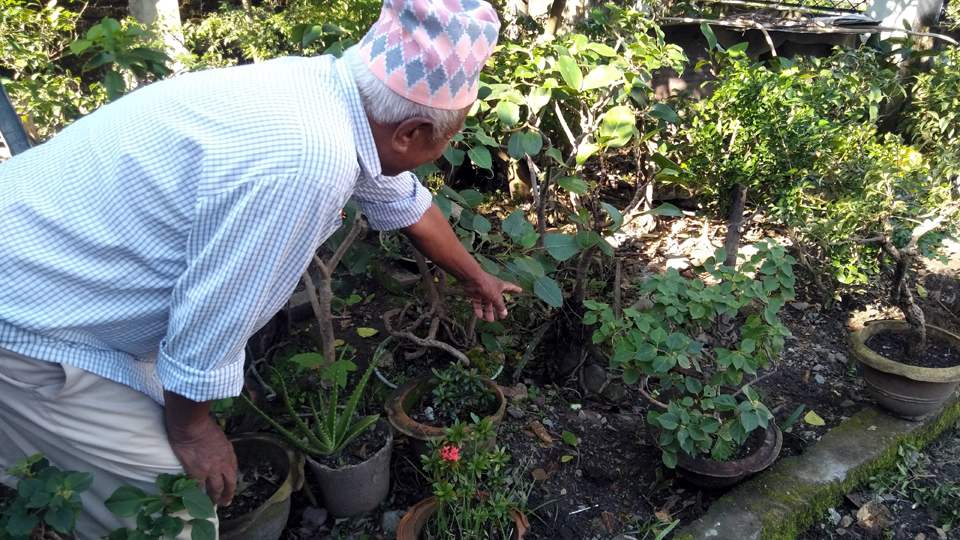 bonsai_dharan_ram_researcher (2)