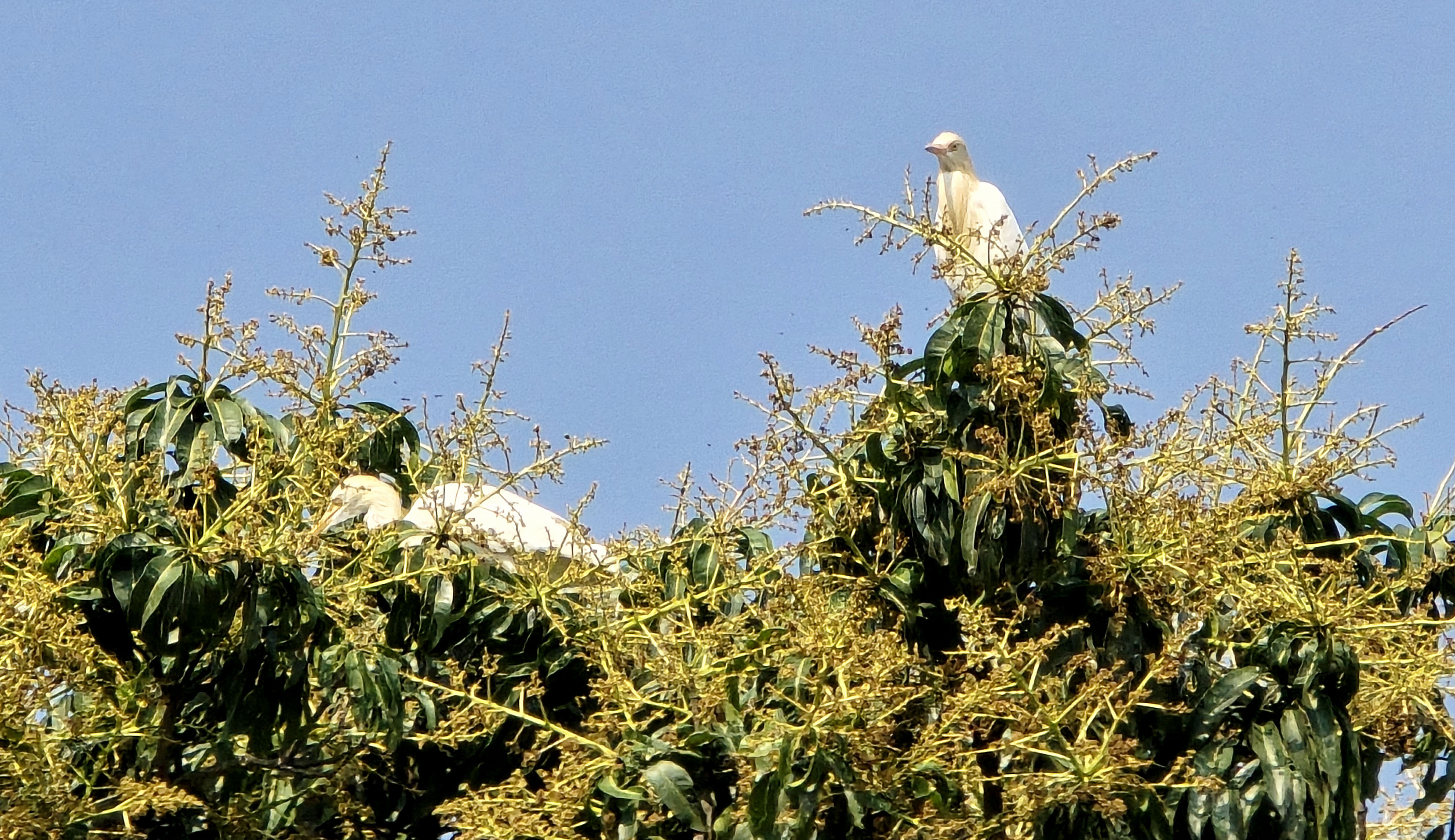 KDN-Dang-20260326_153013