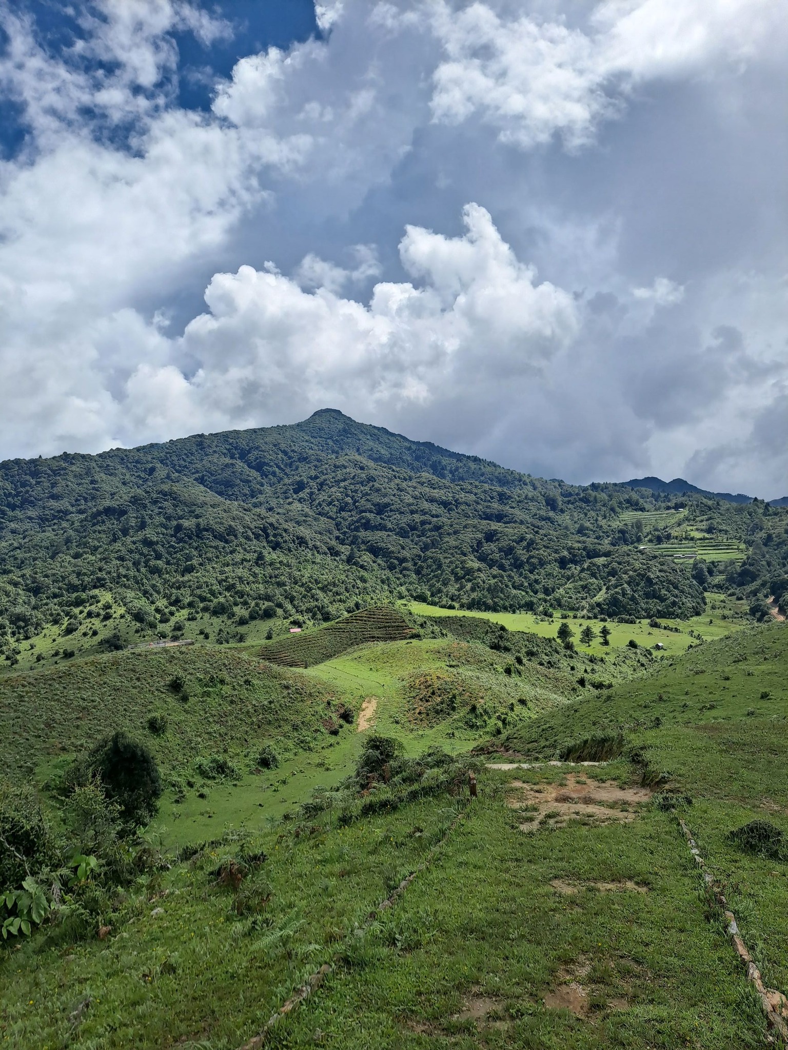 519362754_23945520995138813_654234821078943293_n