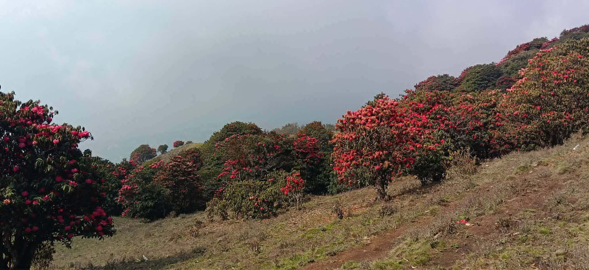 7f3812b6-e538-4b35-a440-409234a6c119